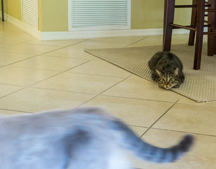 Frankie and Sally